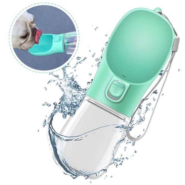 Water Dispenser Bottle